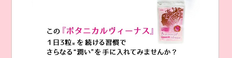 �{�^�j�J�����B�[�i�X���T�C�g